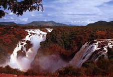 India-Rajasthan-Aravalli Safari in Rajasthan